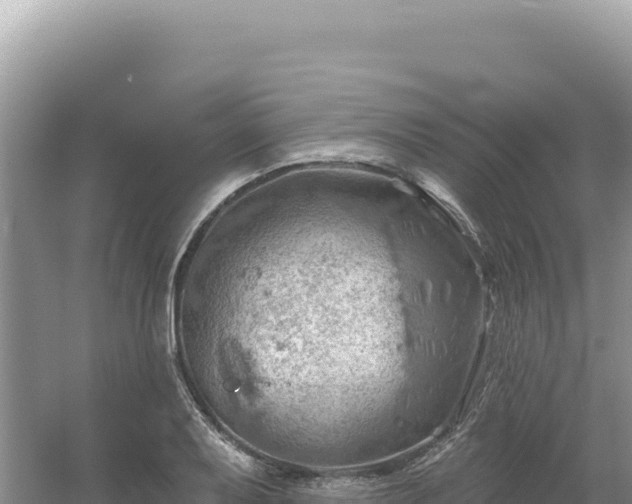 X0000054401079200508051707