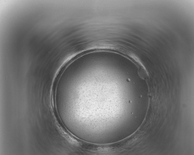 X0000054401080200508051707