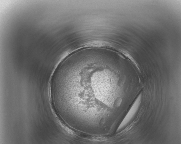 X0000054401083200508051707