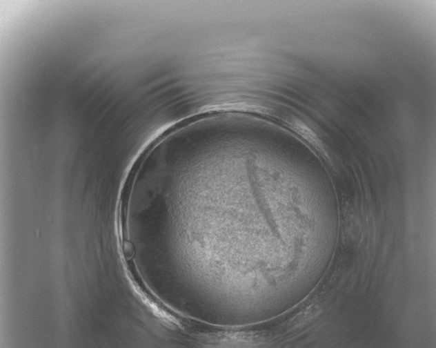 X0000054401084200508051707