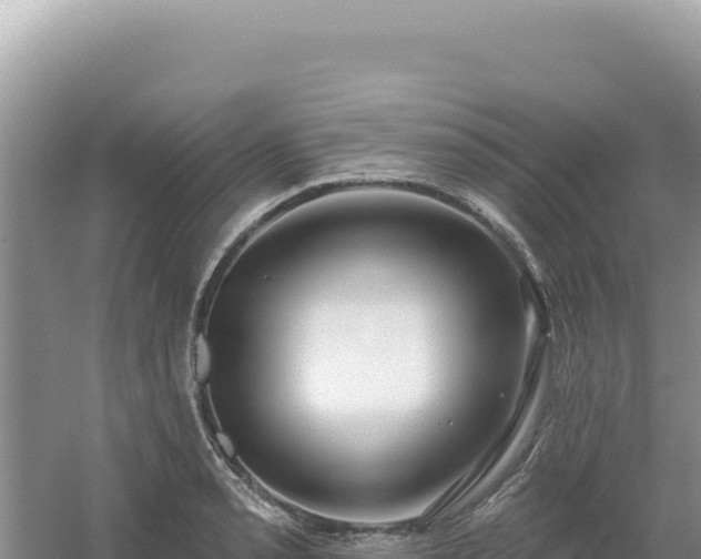 X0000054401085200508051707