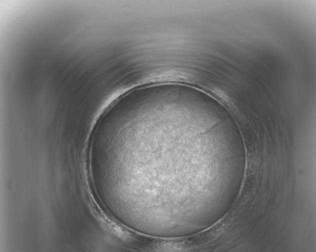 X0000054401086200508051707