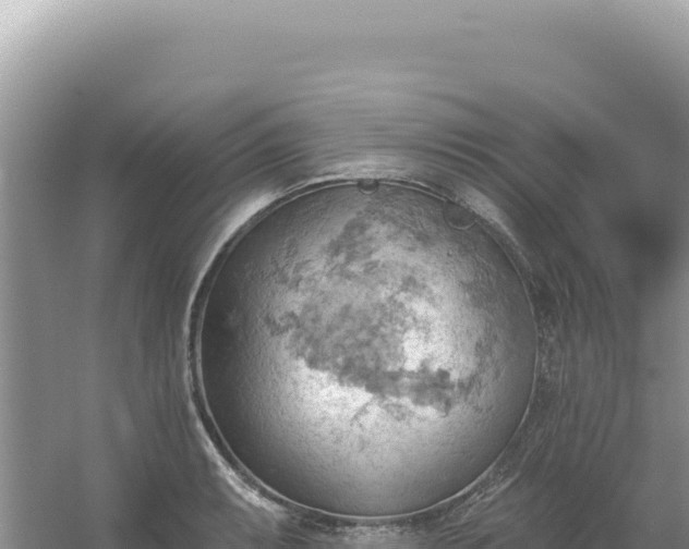 X0000054401087200508051707