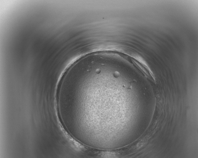 X0000054401088200508051707