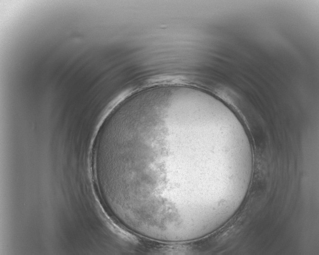 X0000054401090200508051707