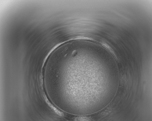 X0000054401092200508051707