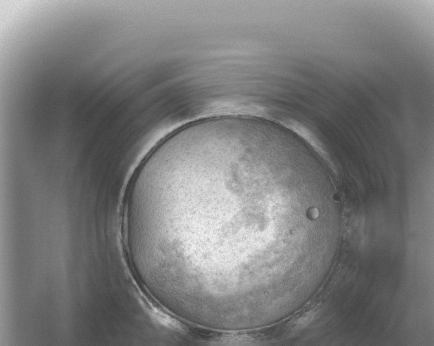 X0000054401094200508051707