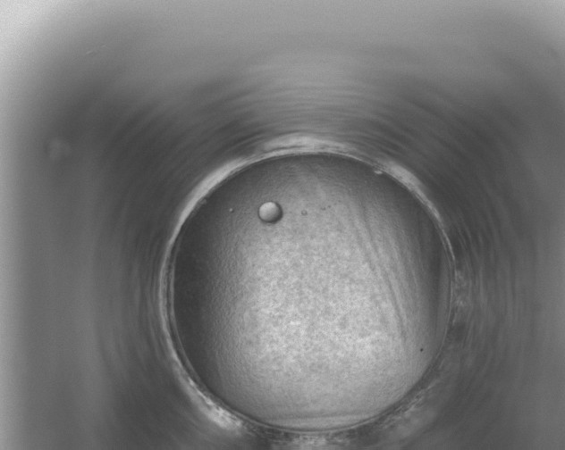 X0000054401098200508051707