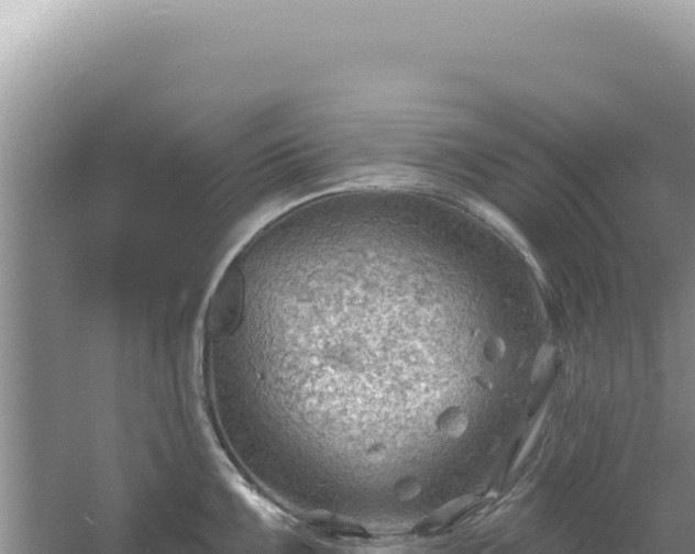 X0000054401099200508051707