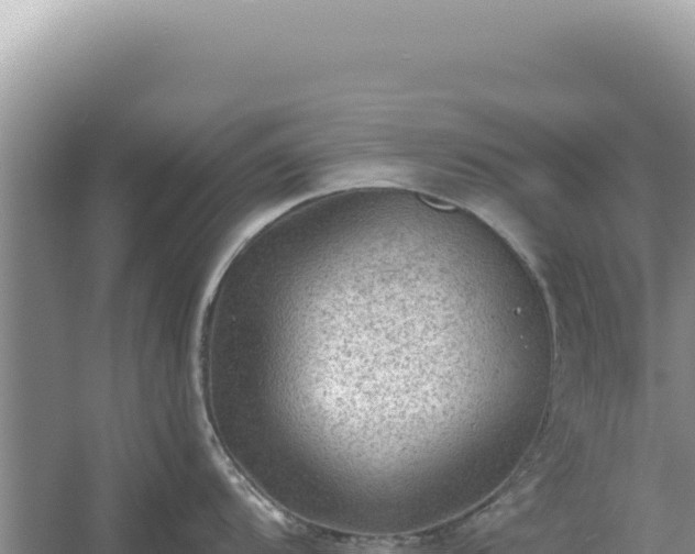 X0000054401104200508051707