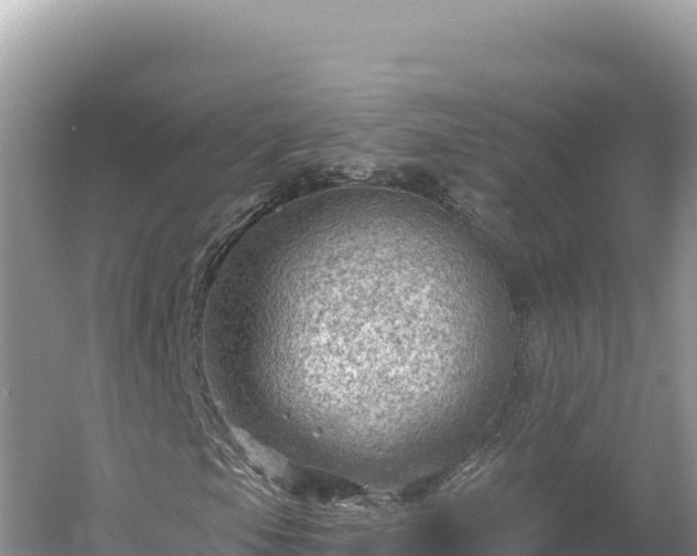 X0000054401105200508051706