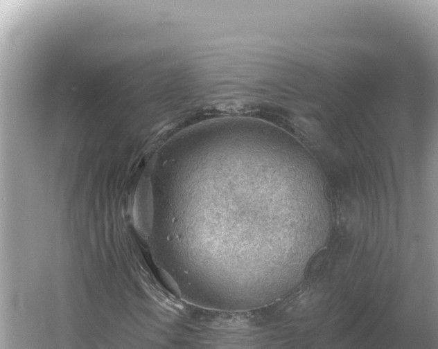 X0000054401106200508051706