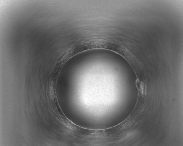 X0000054401107200508051706