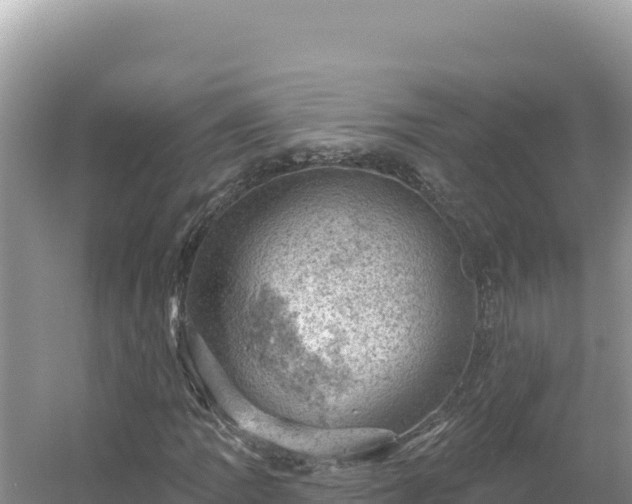 X0000054401109200508051706