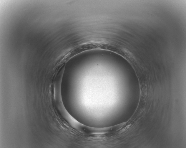 X0000054401110200508051706