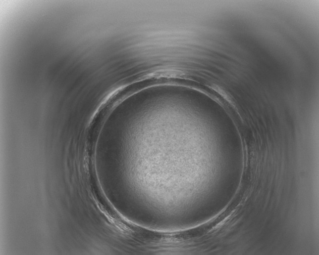 X0000054401115200508051706