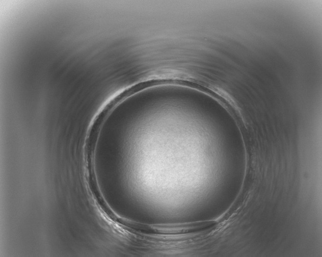 X0000054401120200508051706