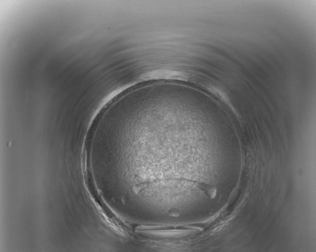 X0000054401125200508051706