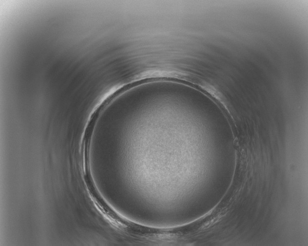 X0000054401127200508051706