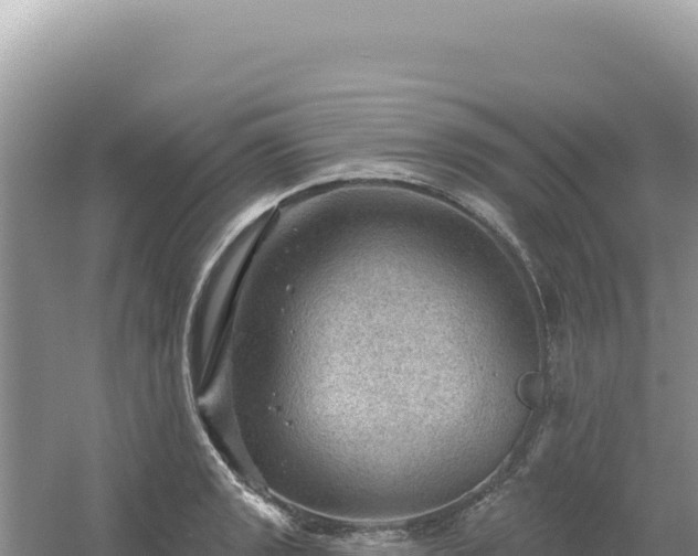 X0000054401133200508051706