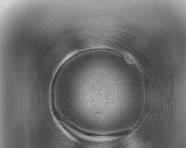 X0000054401142200508051707