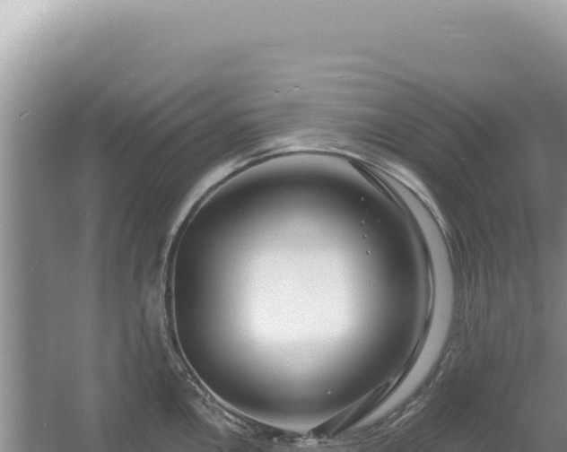 X0000054401146200508051707