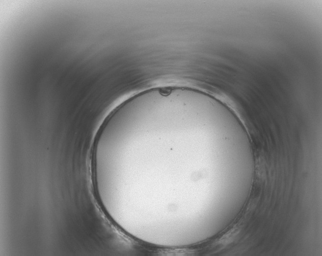 X0000054401150200508051707