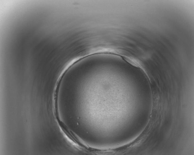 X0000054401151200508051707