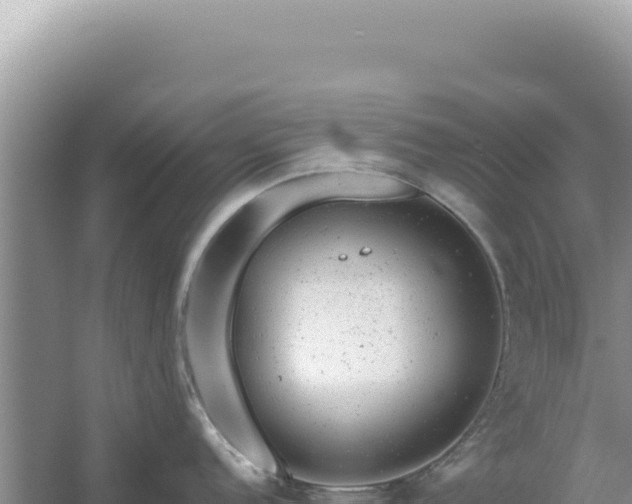 X0000054401152200508051707