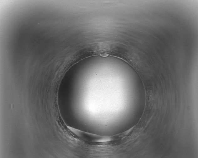 X0000054401153200508051706