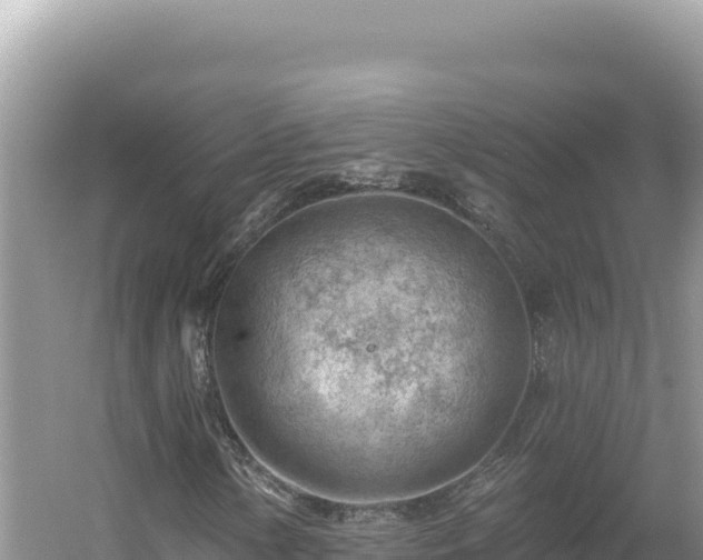 X0000054401154200508051706