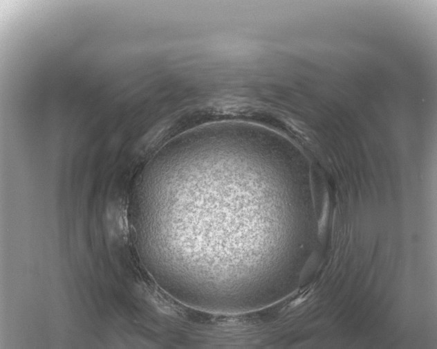 X0000054401155200508051706