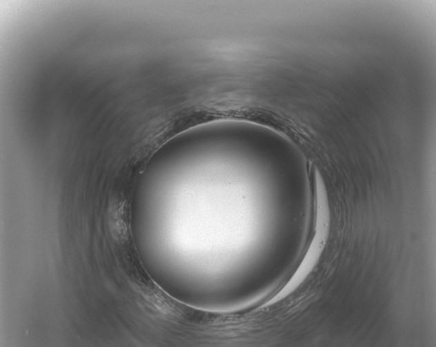 X0000054401156200508051706