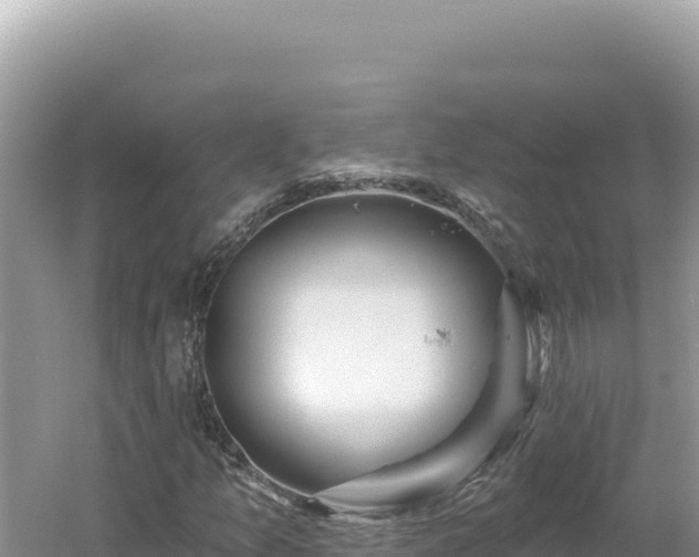 X0000054401157200508051706