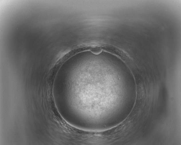 X0000054401158200508051706