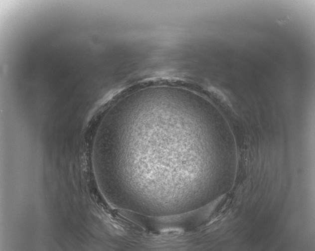 X0000054401159200508051706