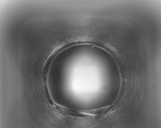 X0000054401160200508051706