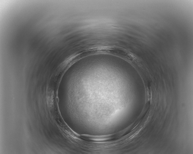 X0000054401161200508051706