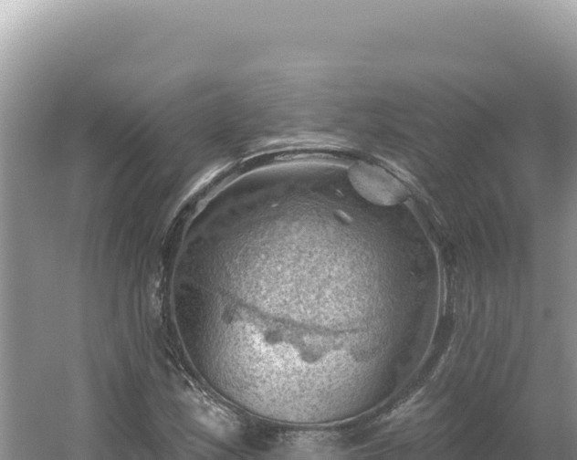 X0000054401163200508051706