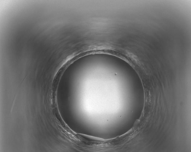 X0000054401165200508051706