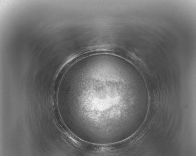 X0000054401166200508051706