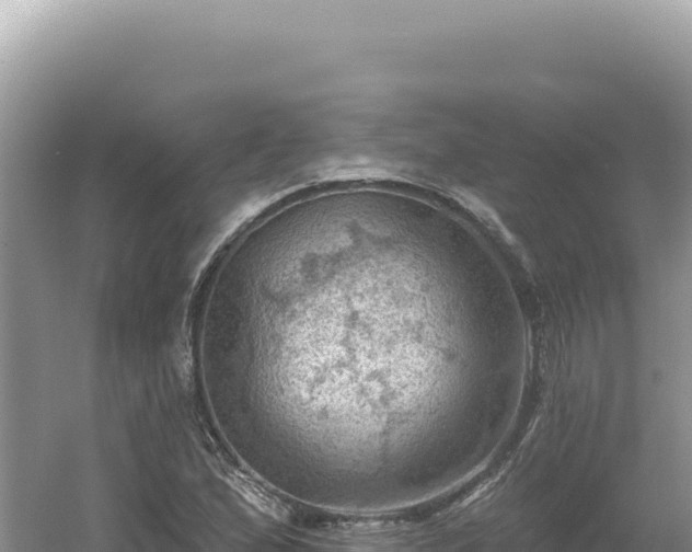 X0000054401167200508051706