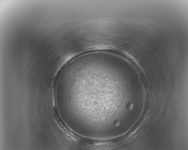 X0000054401171200508051706