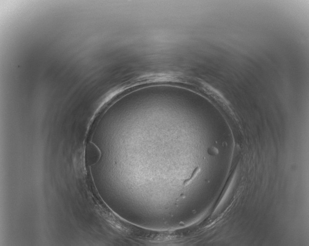 X0000054401174200508051706