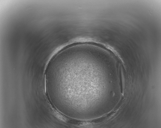 X0000054401175200508051706