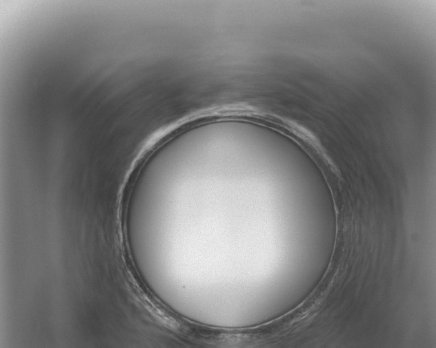 X0000054401176200508051706