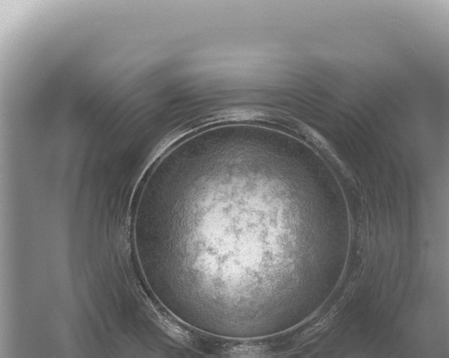 X0000054401178200508051706