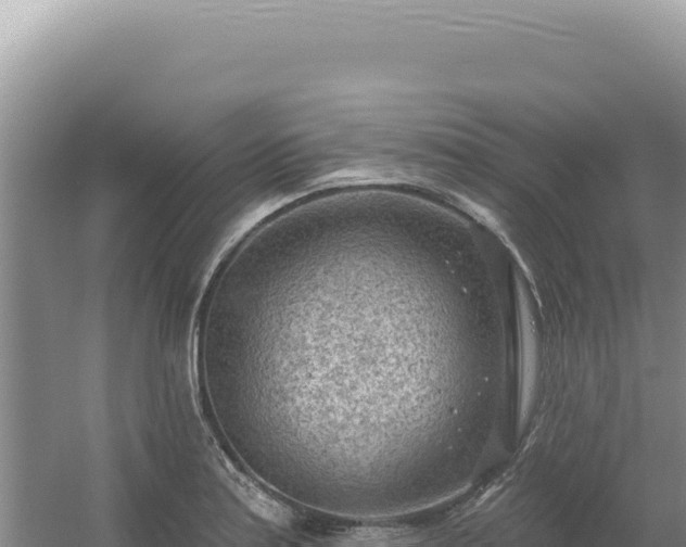 X0000054401179200508051706