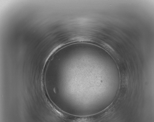 X0000054401182200508051705