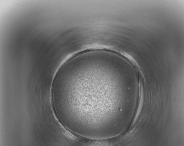 X0000054401183200508051705